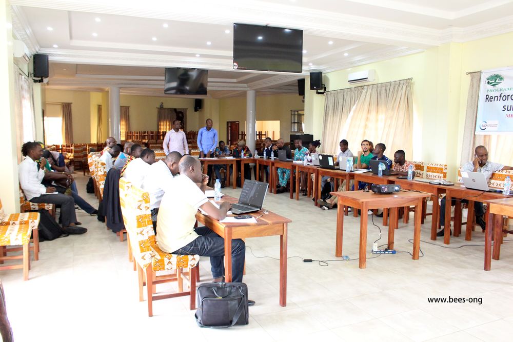 Les participants à l'atelier sur le lobby et le plaidoyer en séance de travail